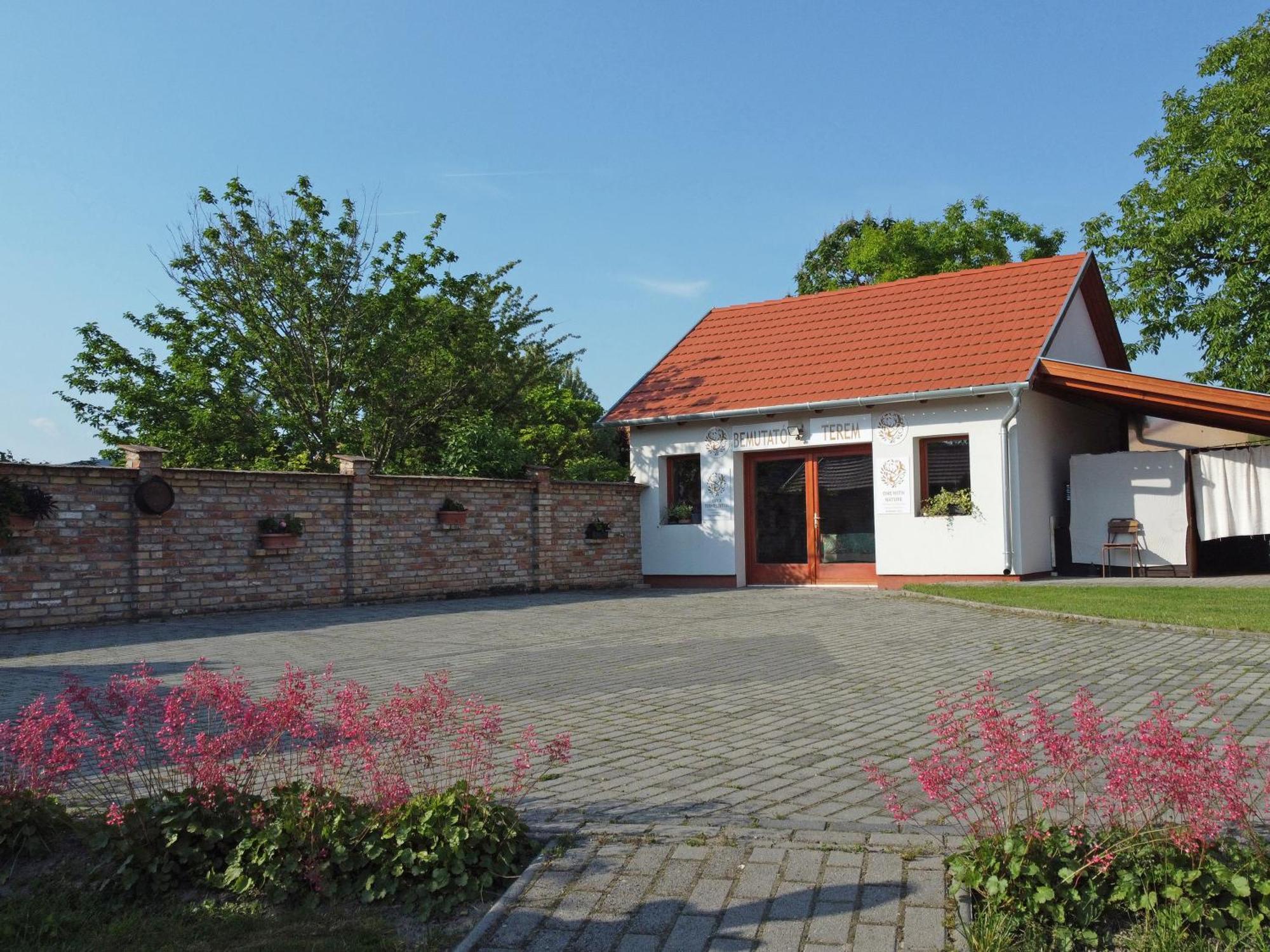 Füzesi Papa Vendégház Harta Esterno foto